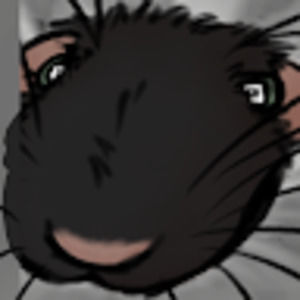 Meet your Posher, Monty is a